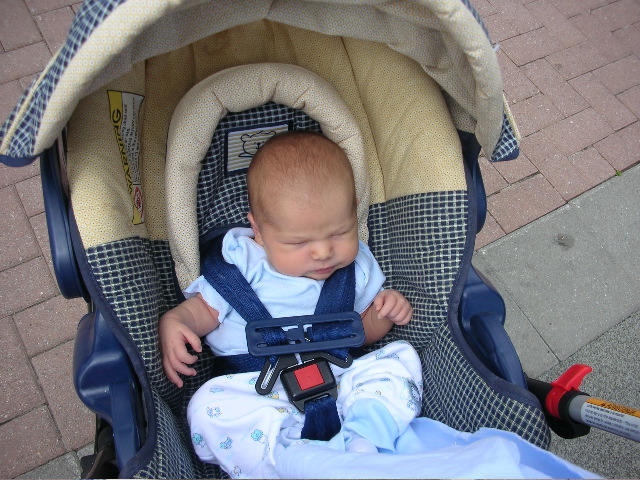 Sleepy Max at the zoo.