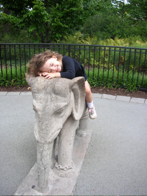 What a nice elephant!