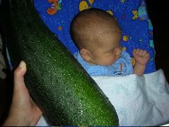 The zucchini is bigger than the baby!