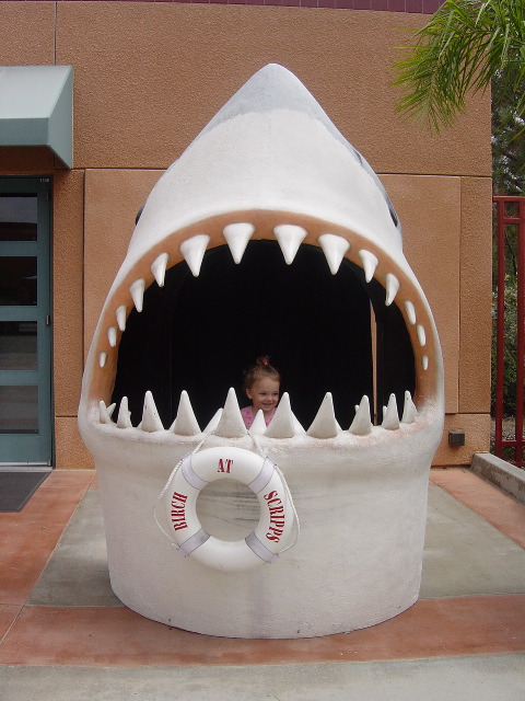 Getting eaten by the giant shark head at the Scripps Birch Aquarium