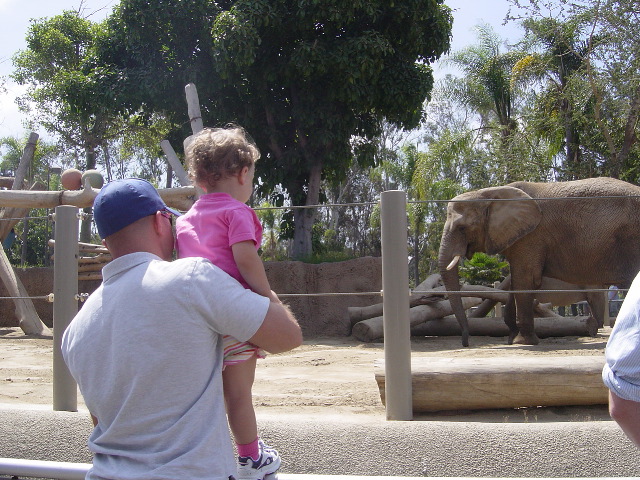 Looking at the elephant with Daddy